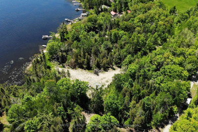0 Pearce Road • Kawartha Lakes, ON photo 6