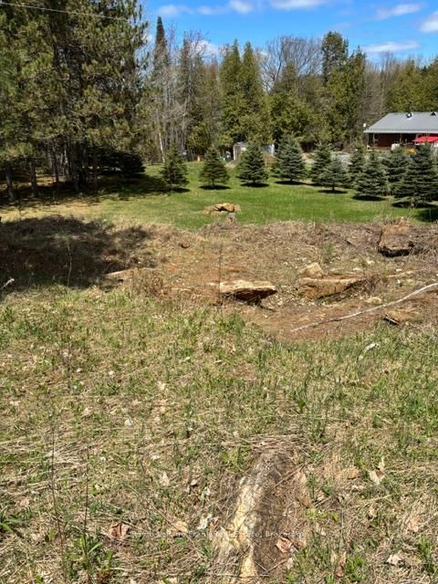 26686 Highway 62 S • Bancroft, ON photo 5