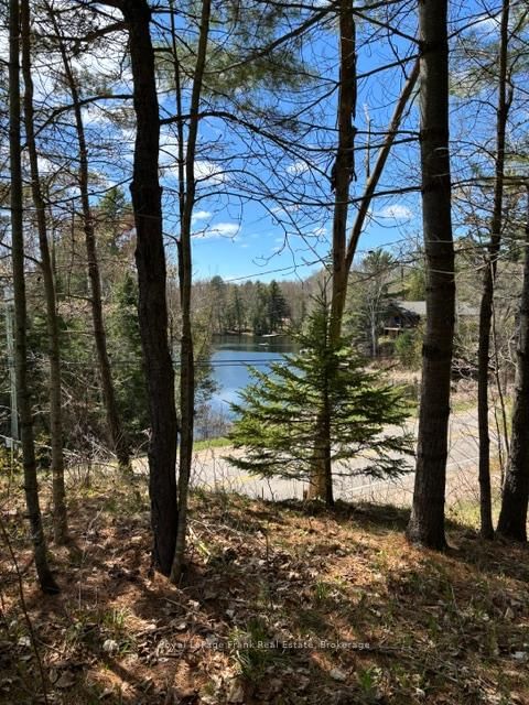 26686 Highway 62 S • Bancroft, ON photo 6