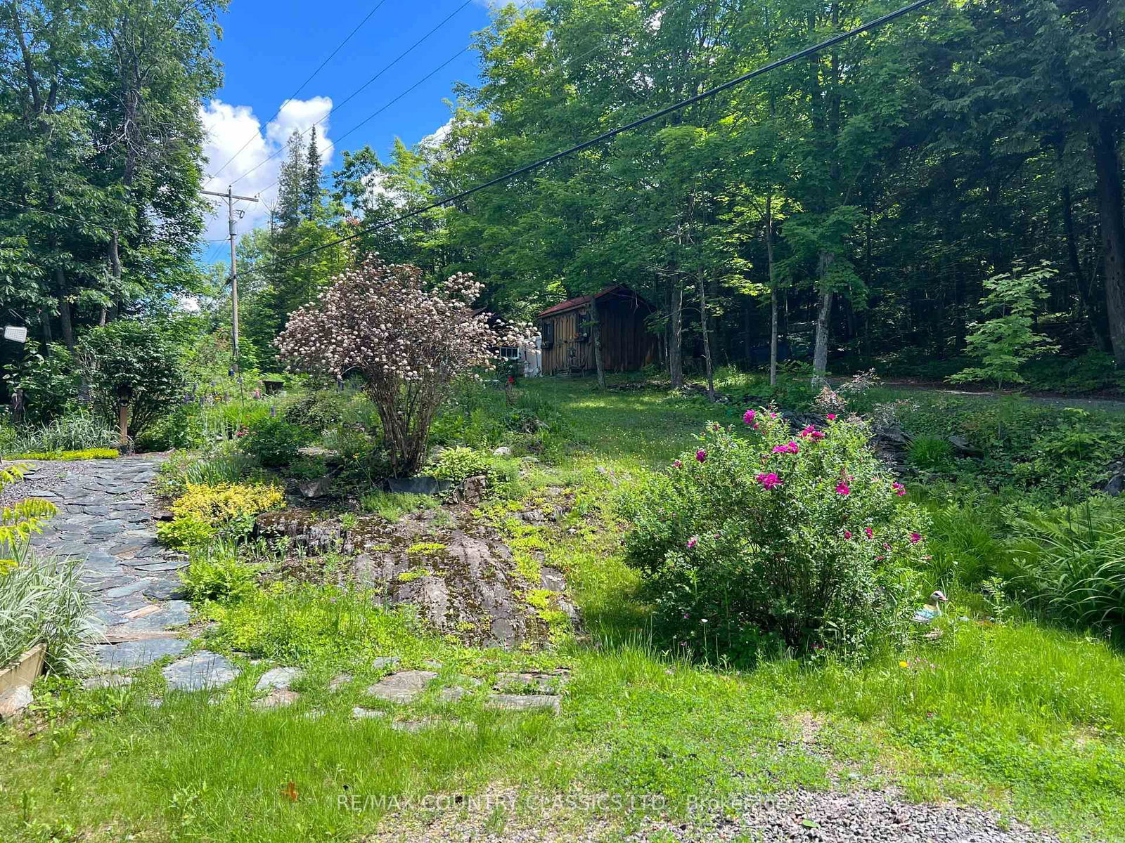 1322A Weslemkoon Lake Road • Hastings, ON photo 36