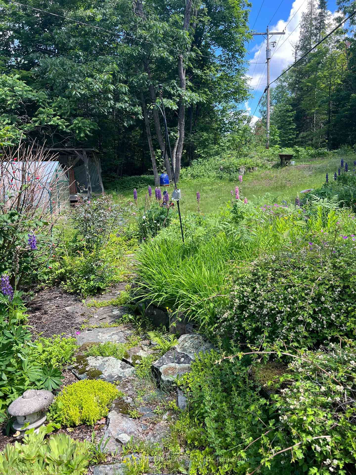 1322A Weslemkoon Lake Road • Hastings, ON photo 41