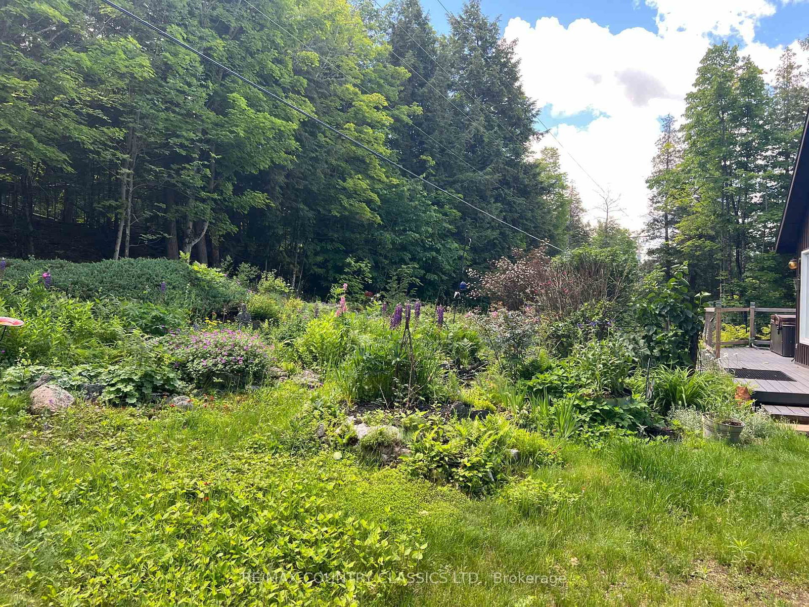 1322A Weslemkoon Lake Road • Hastings, ON photo 42