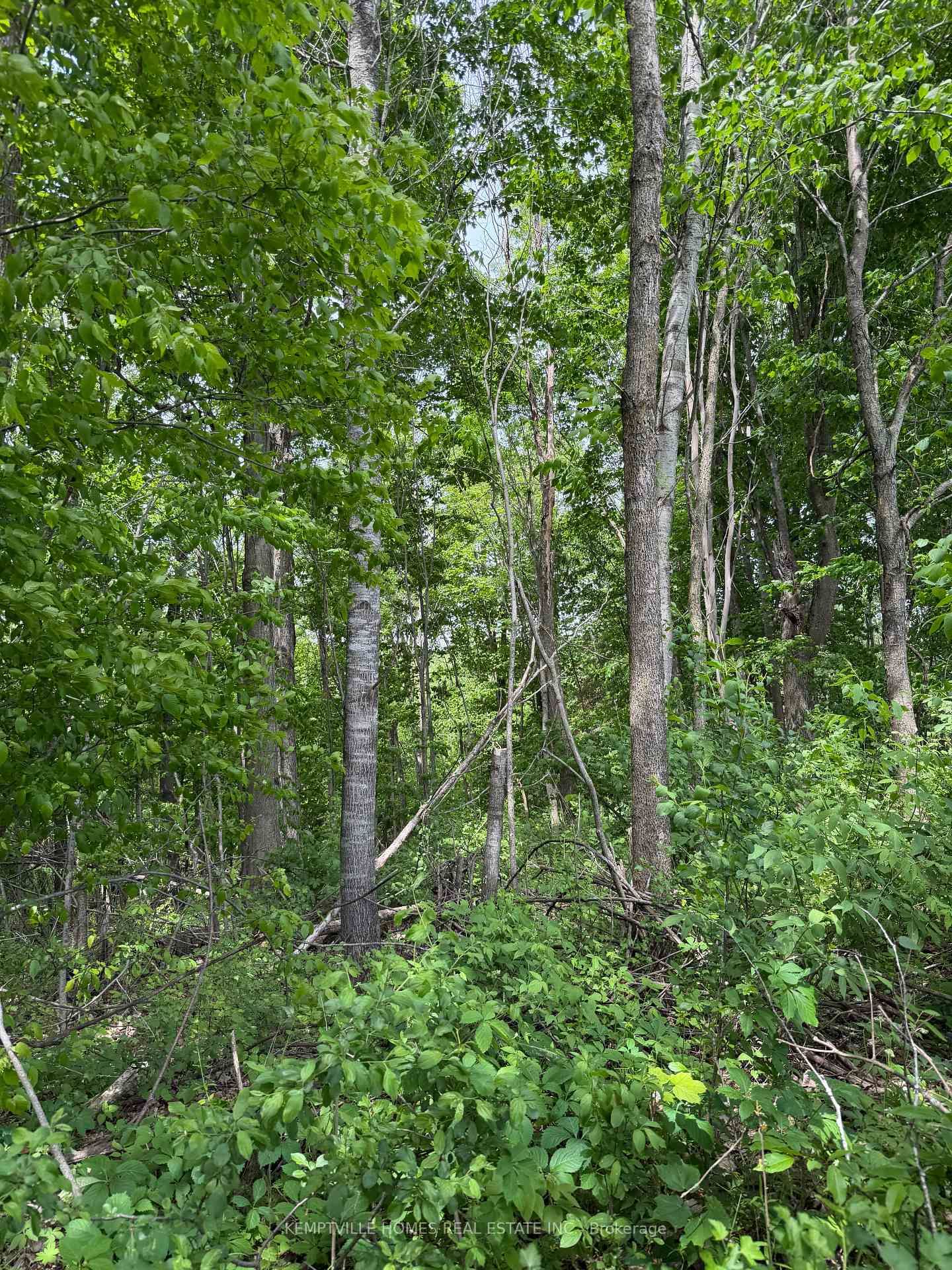 00 RICHARDSON Road • Merrickville, ON photo 12