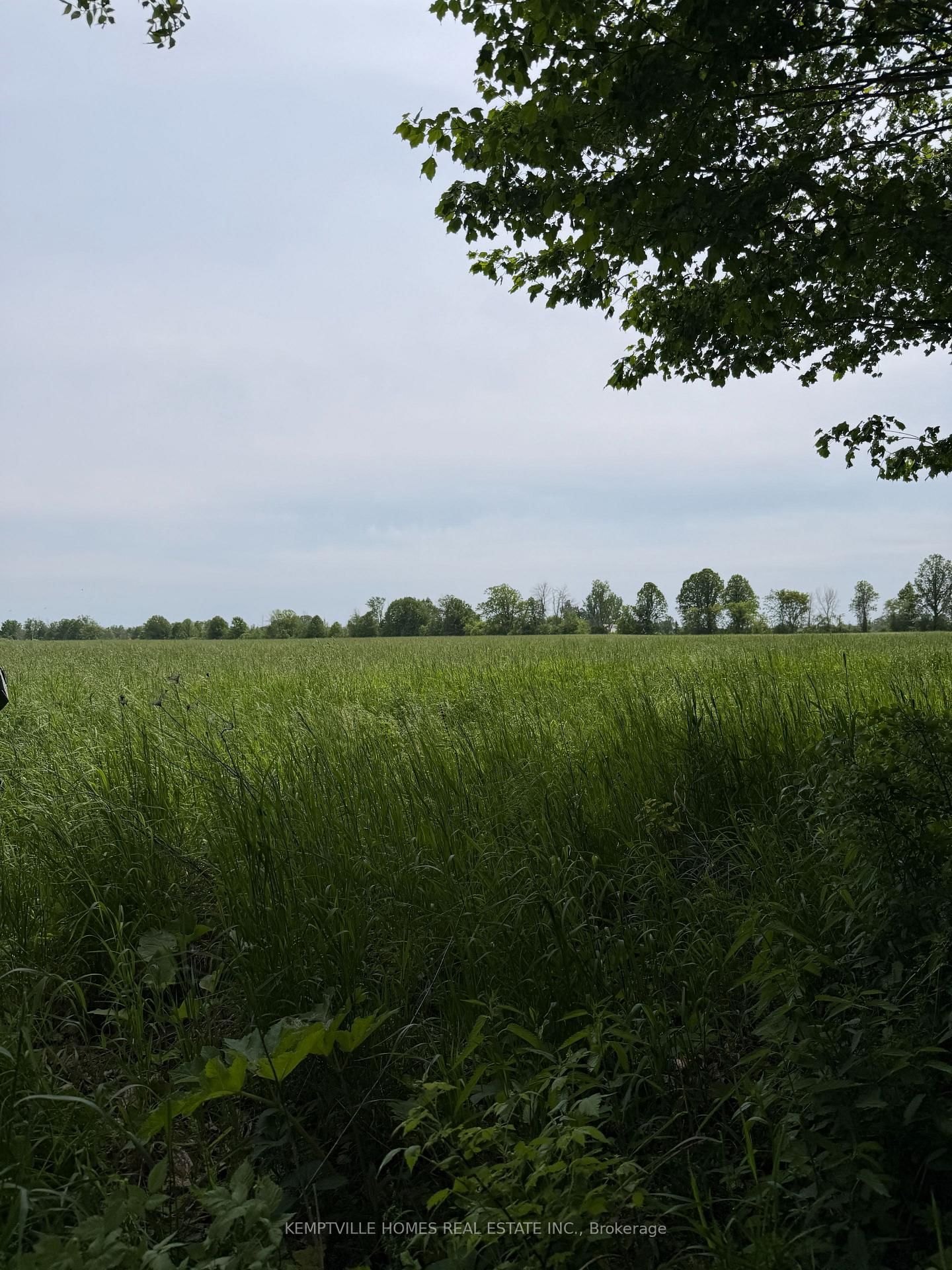 00 RICHARDSON Road • Merrickville, ON photo 13
