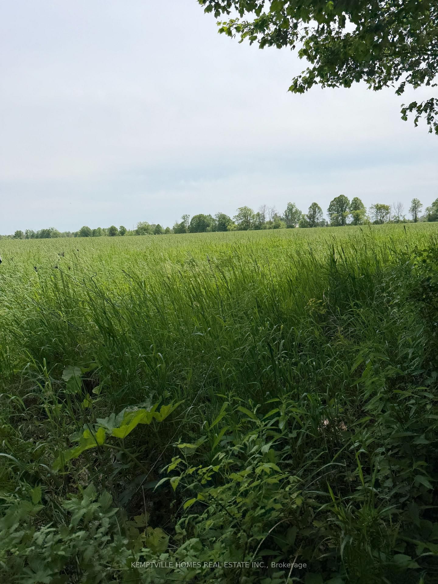 00 RICHARDSON Road • Merrickville, ON photo 14