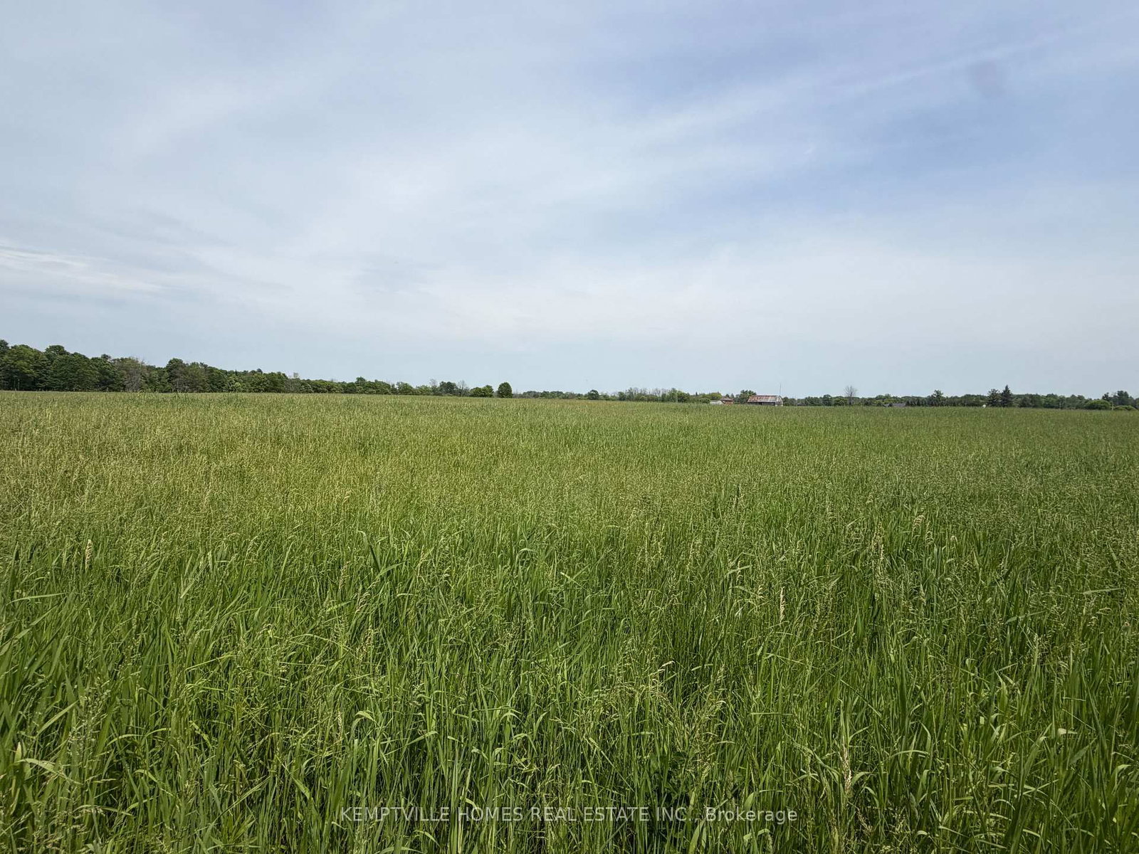 00 RICHARDSON Road • Merrickville, ON photo 15