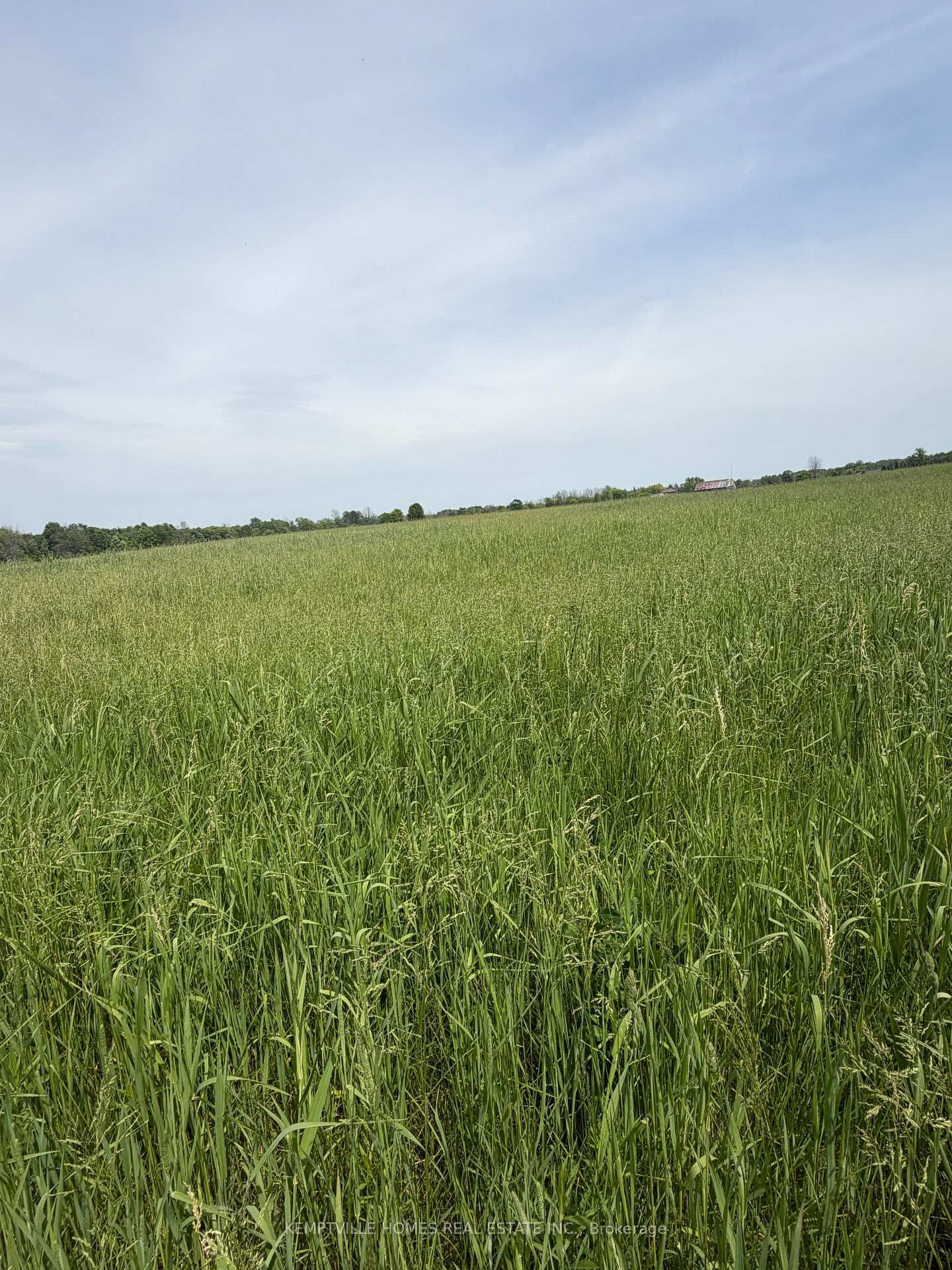 00 RICHARDSON Road • Merrickville, ON photo 16