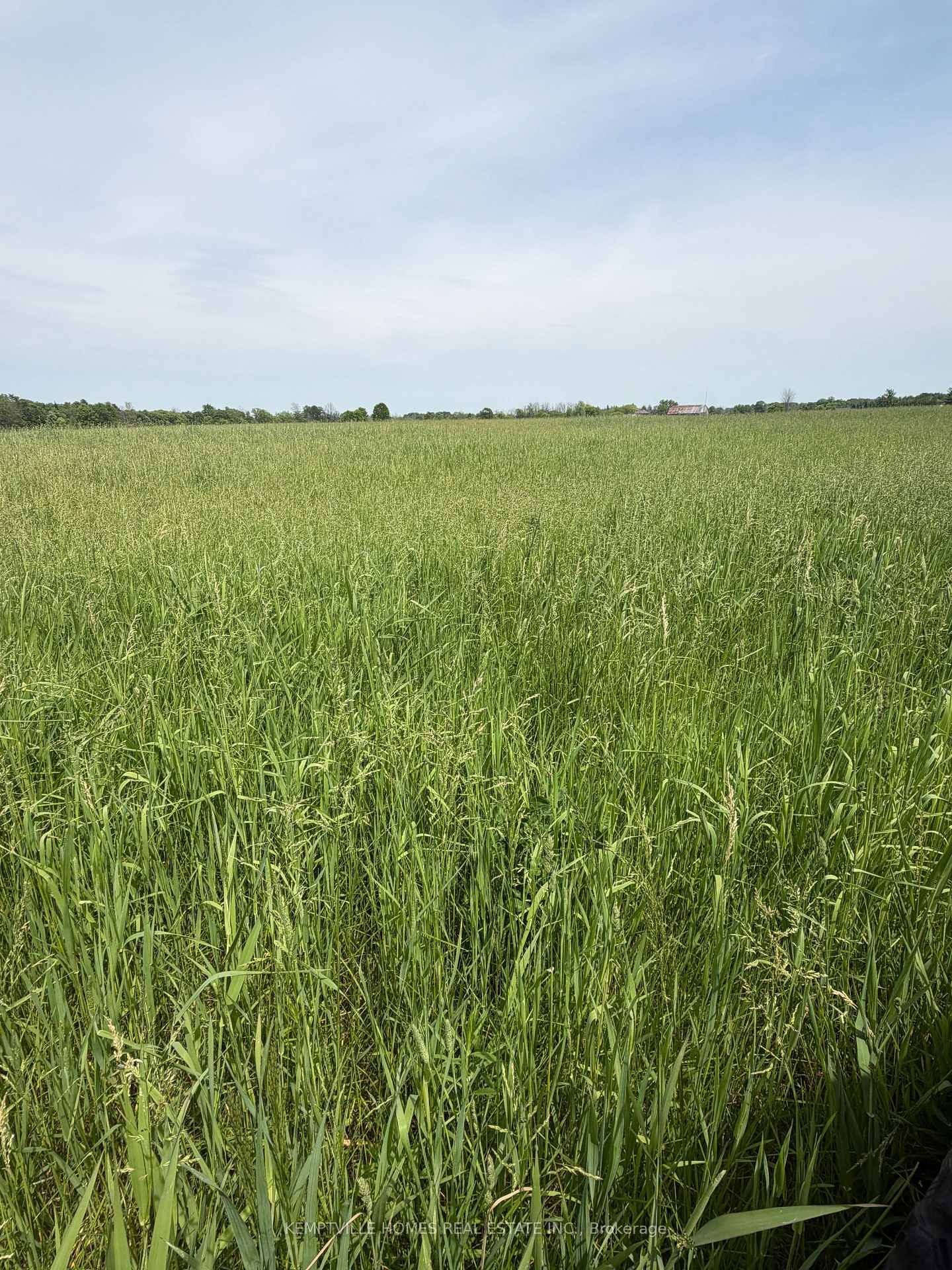 00 RICHARDSON Road • Merrickville, ON photo 17