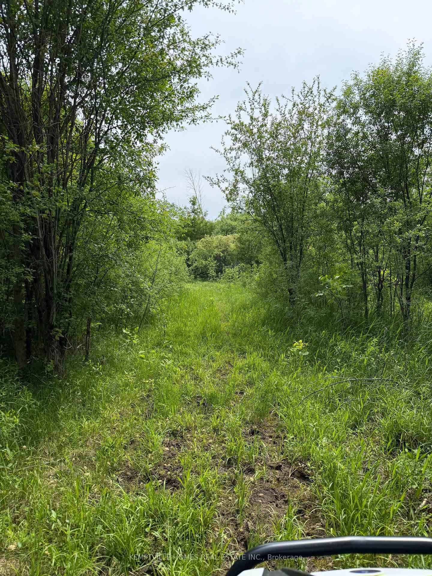 00 RICHARDSON Road • Merrickville, ON photo 18
