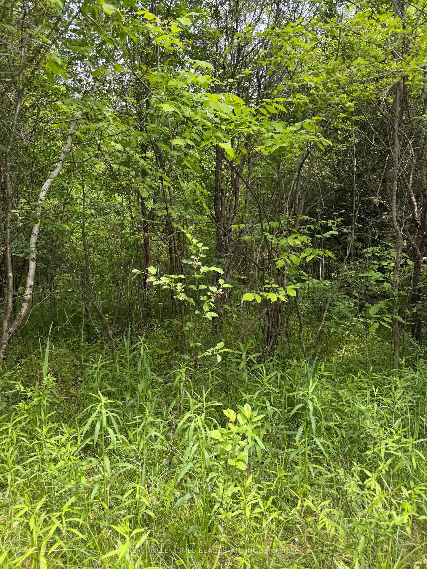 00 RICHARDSON Road • Merrickville, ON photo 19