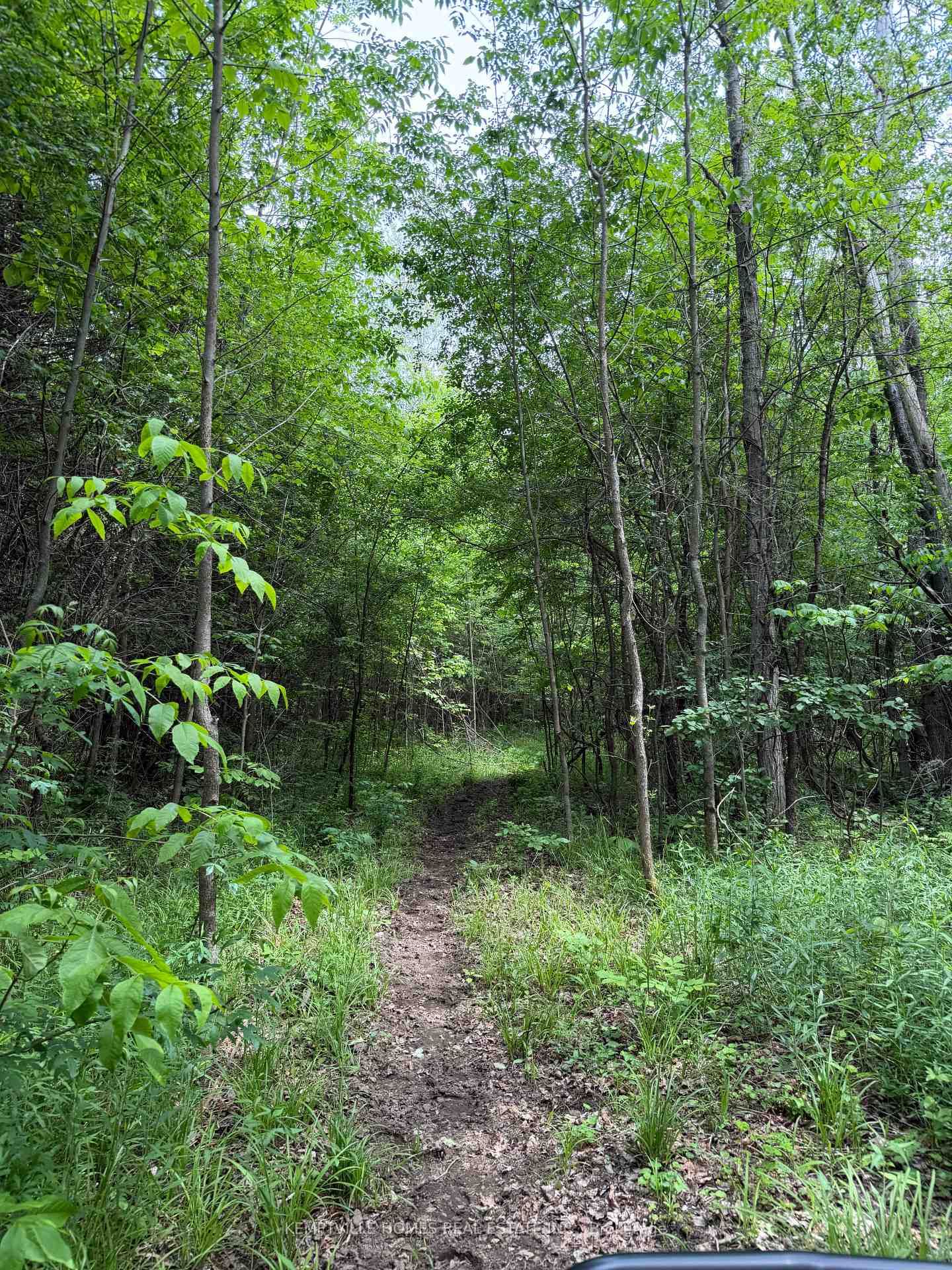00 RICHARDSON Road • Merrickville, ON photo 20