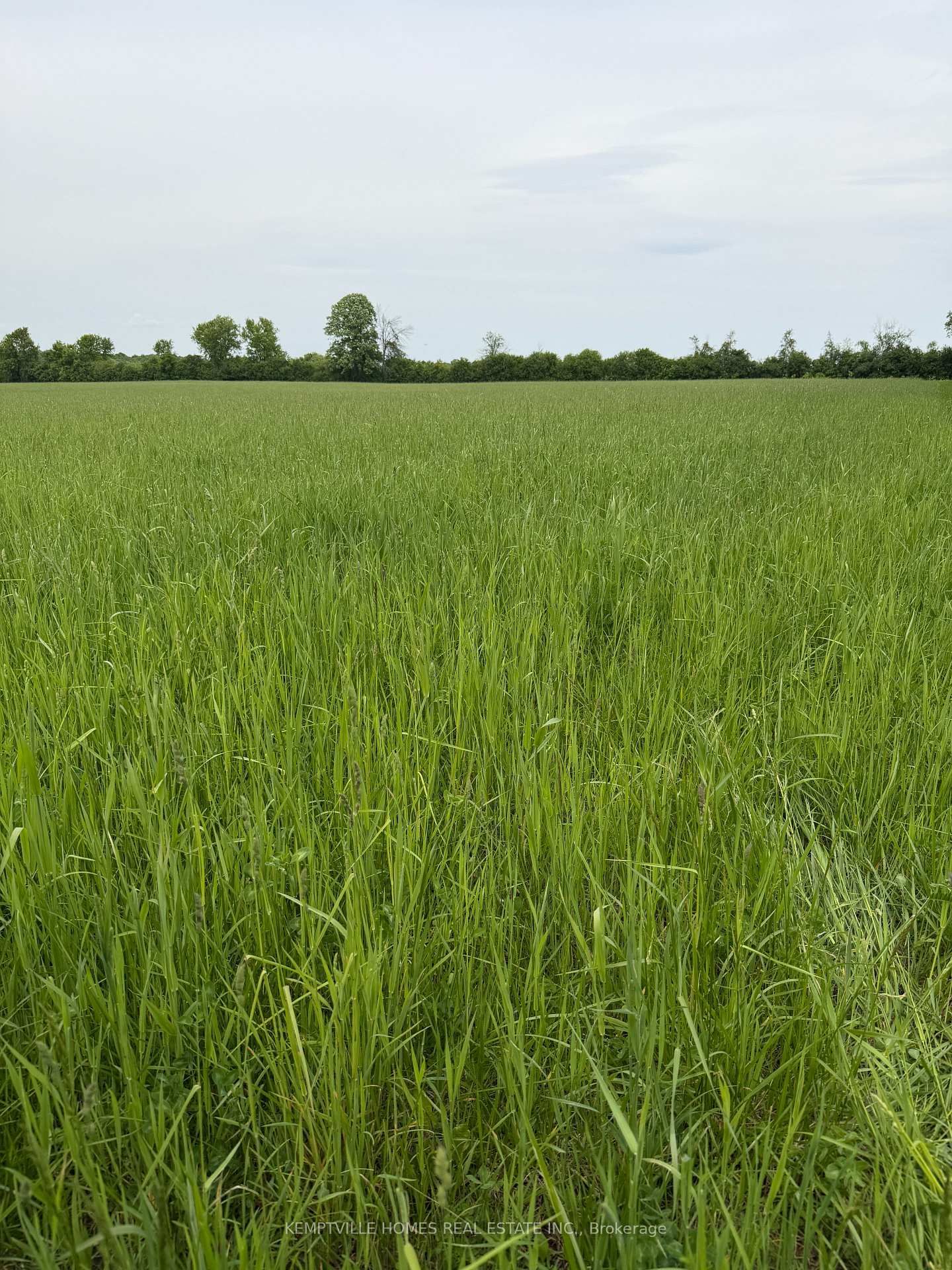 00 RICHARDSON Road • Merrickville, ON photo 23