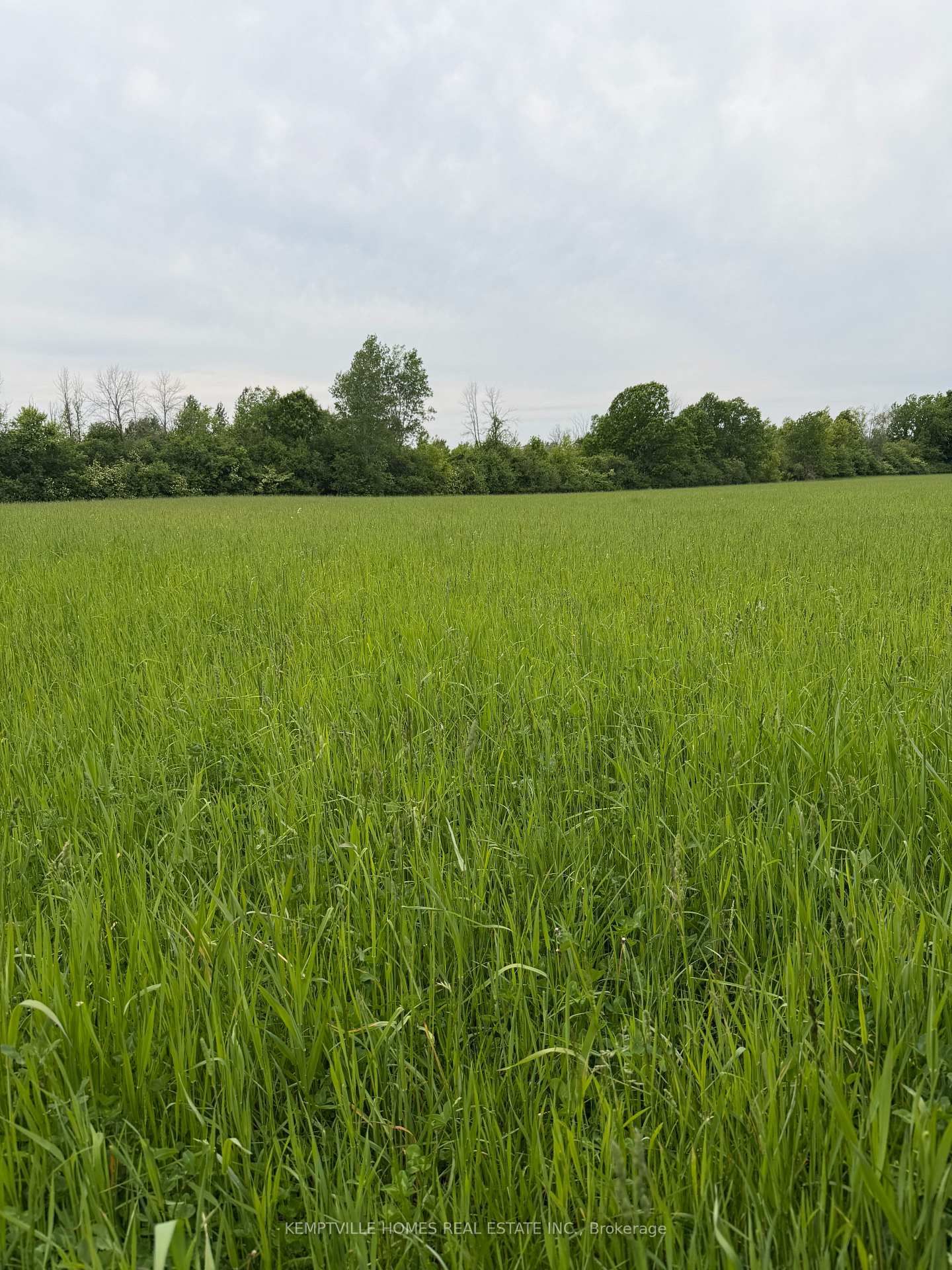 00 RICHARDSON Road • Merrickville, ON photo 24