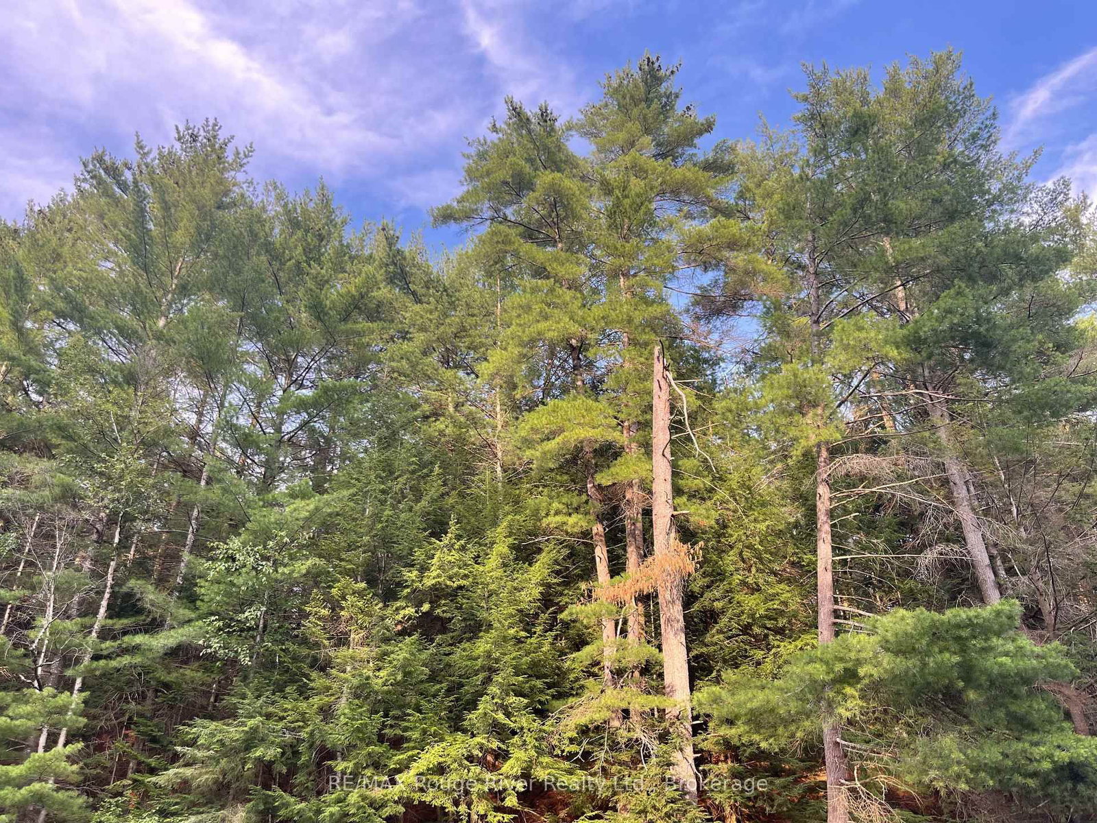 39 Hobo Lane • Bancroft, ON photo 31