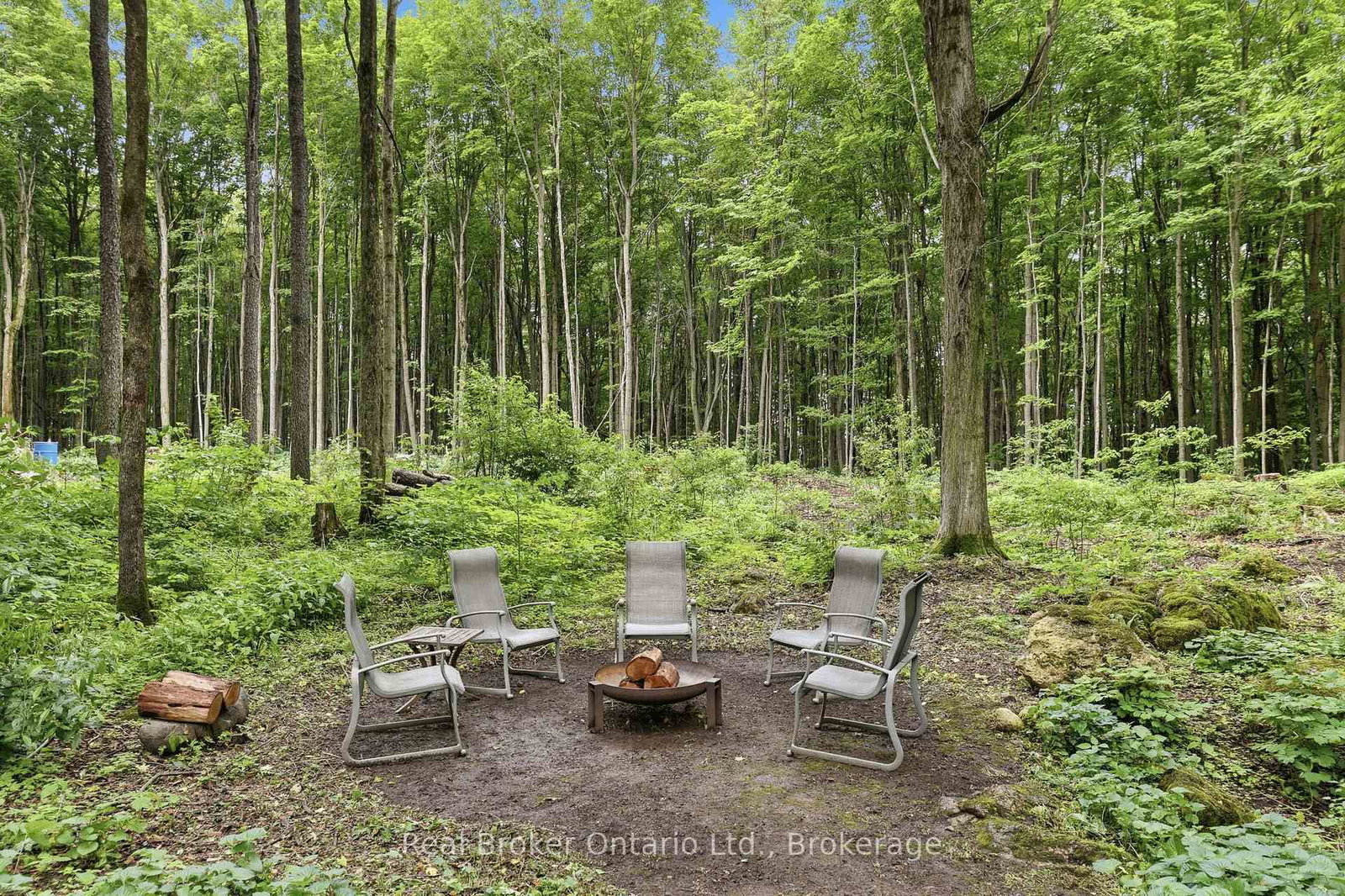 805500 25 Side Road • Grey Highlands, ON photo 32