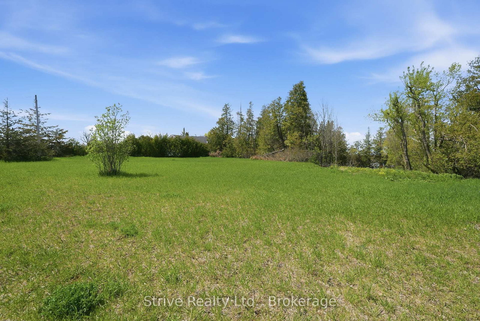 00 Lakeview Drive • Trent Hills, ON photo 11