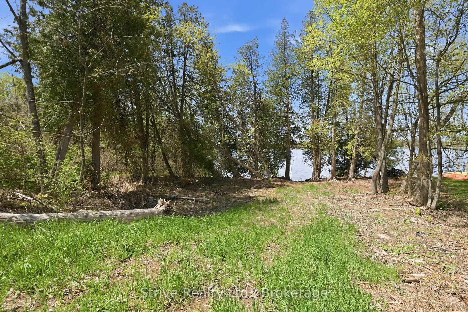 00 Lakeview Drive • Trent Hills, ON photo 18
