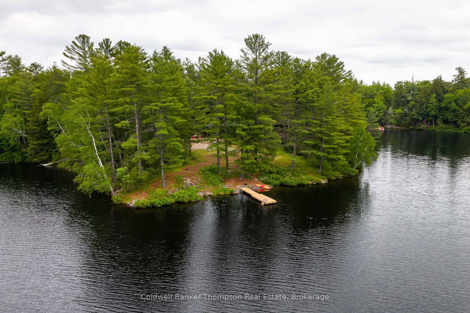 Listing Image 48