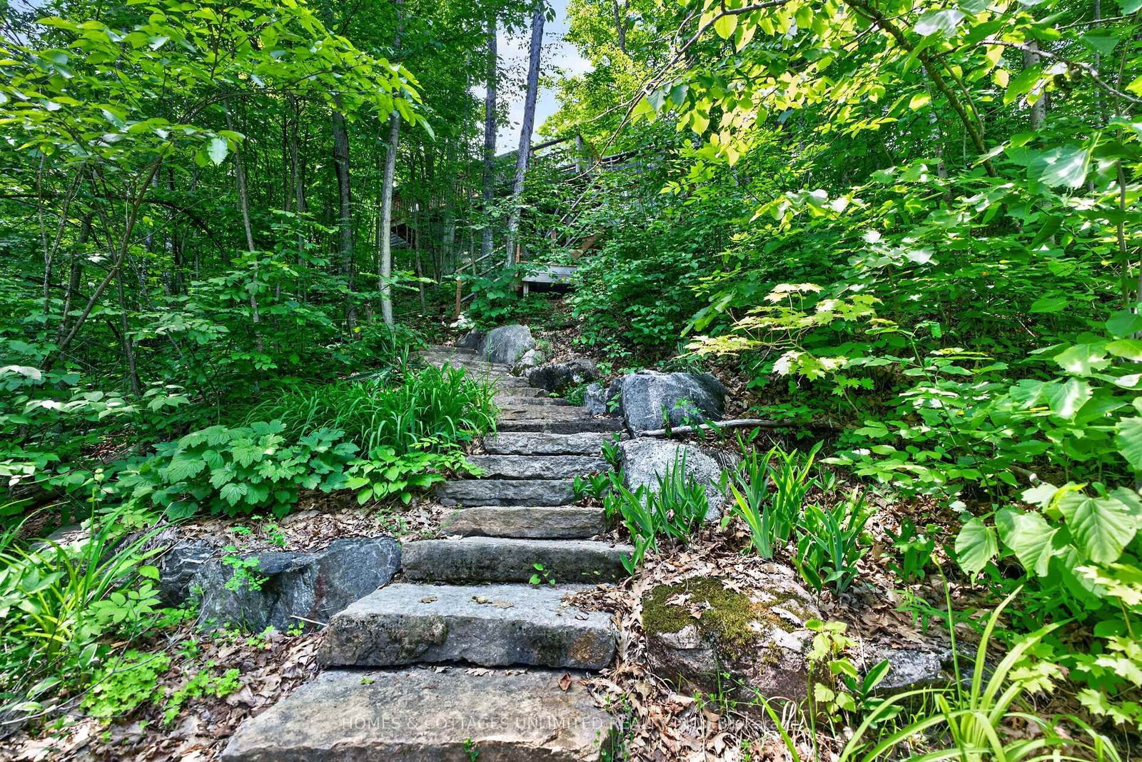 655 Farren Lake #12a Lane • Maberly, ON photo 13