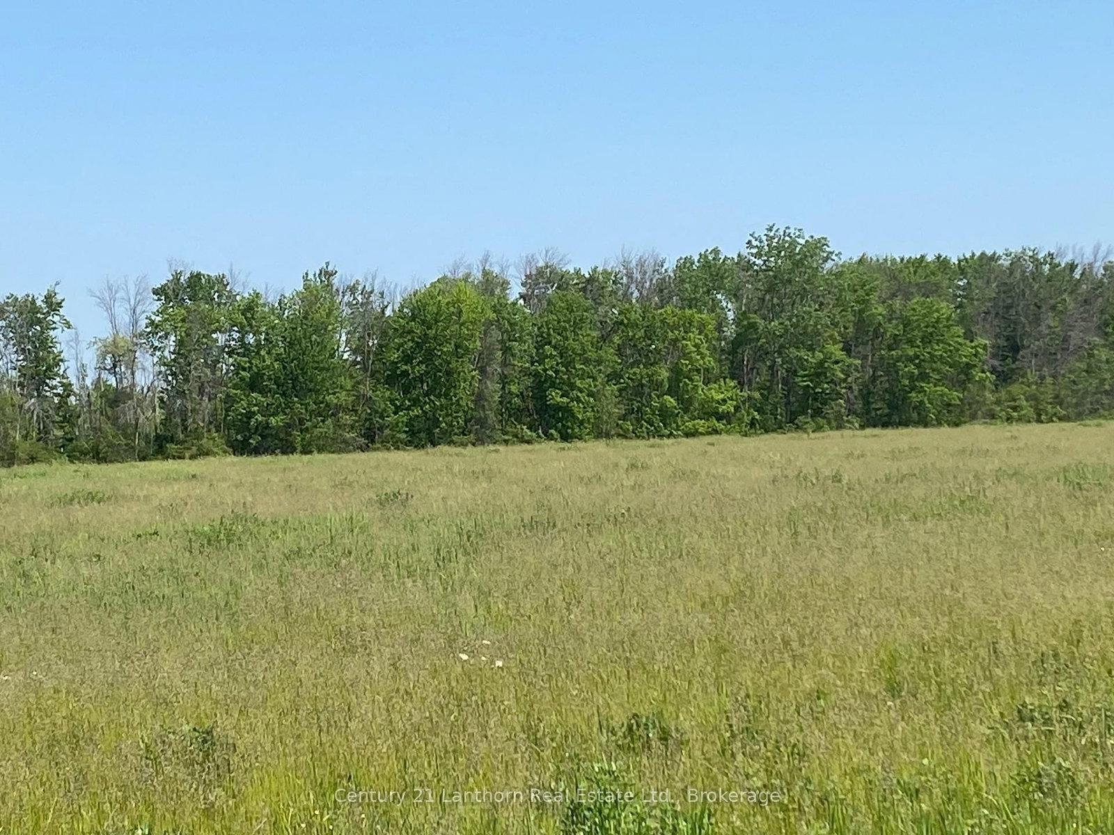 618 Christian Road • Prince Edward County, ON photo 8