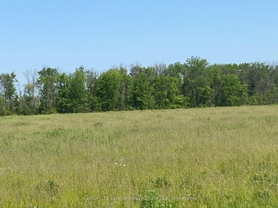 618 Christian Road • Prince Edward County, ON photo 8