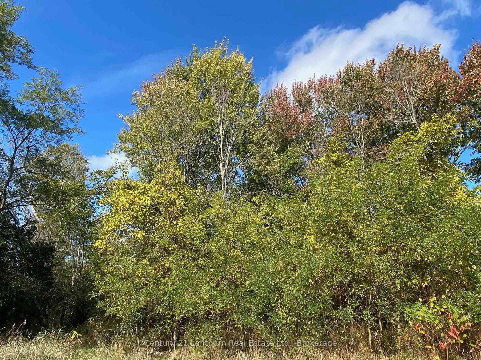 618 Christian Road • Prince Edward County, ON photo 9
