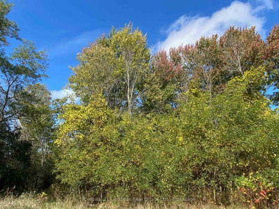 618 Christian Road • Prince Edward County, ON photo 9