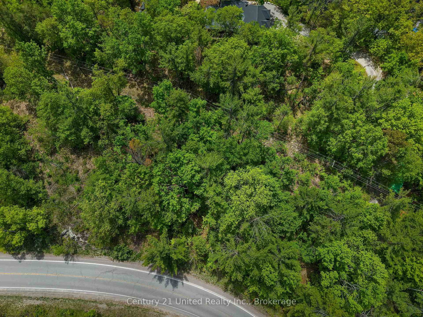 832 Northey's Bay Road • North Kawartha, ON photo 41