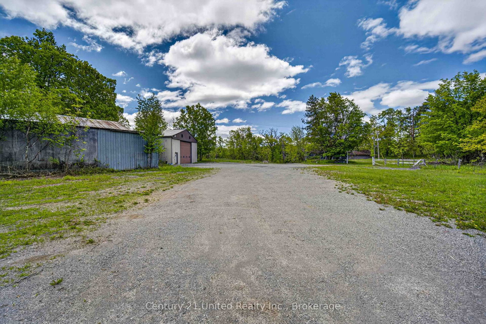 832 Northey's Bay Road • North Kawartha, ON photo 47