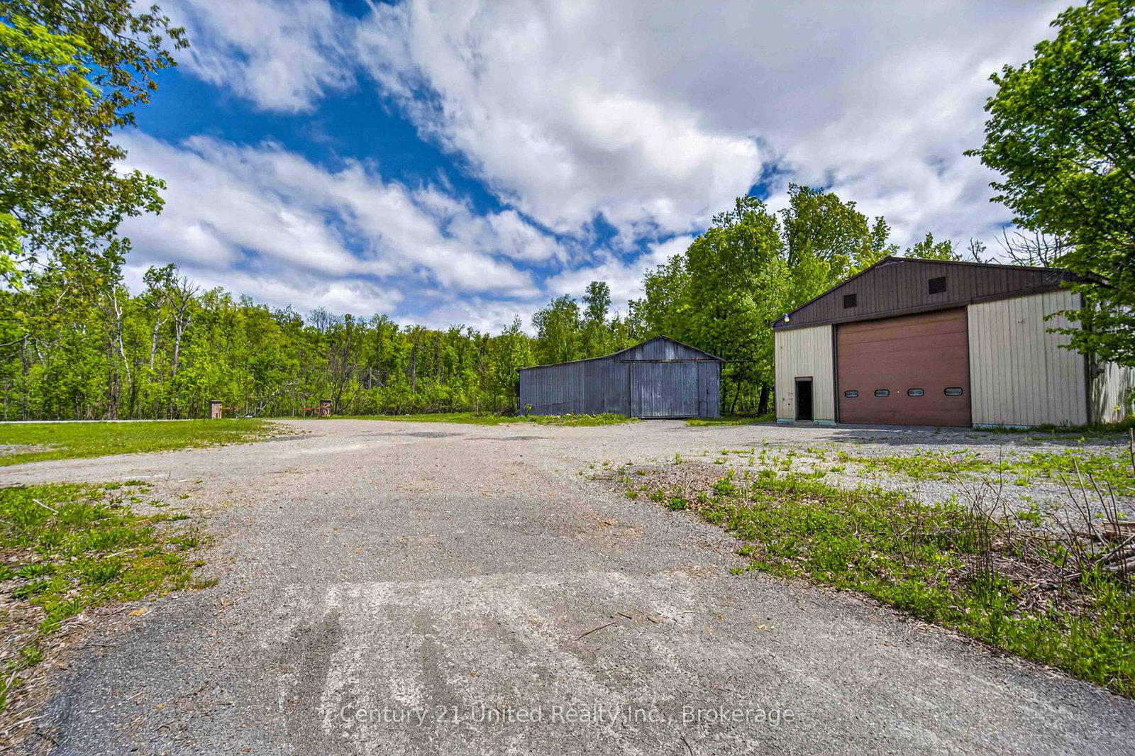 832 Northey's Bay Road • North Kawartha, ON photo 48