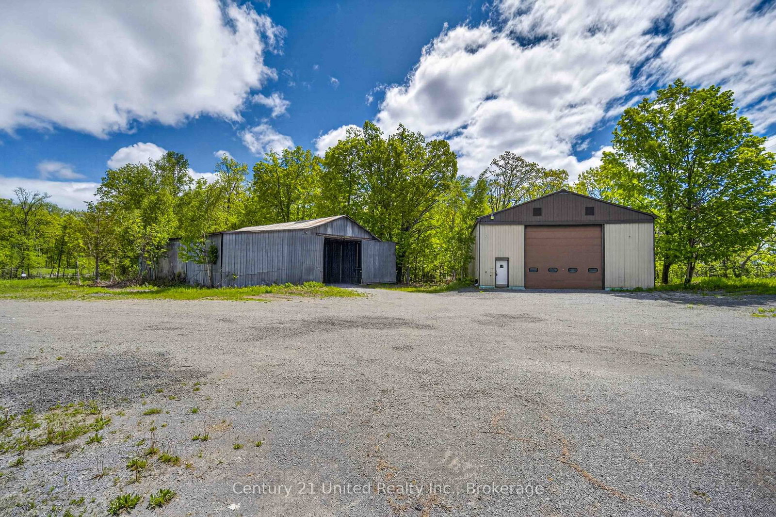 832 Northey's Bay Road • North Kawartha, ON photo 9