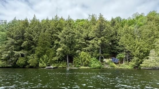0 Island Lake Road • Kearney, ON photo 19