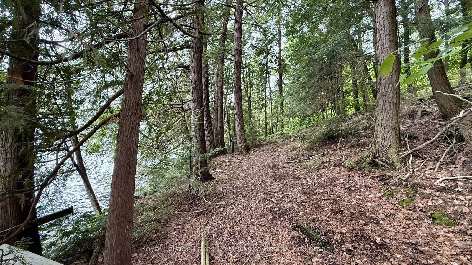 0 Island Lake Road • Kearney, ON photo 27