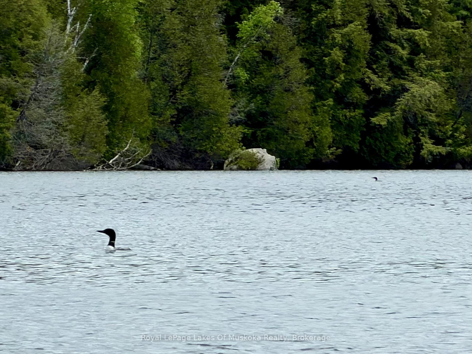 0 Island Lake Road • Kearney, ON photo 31