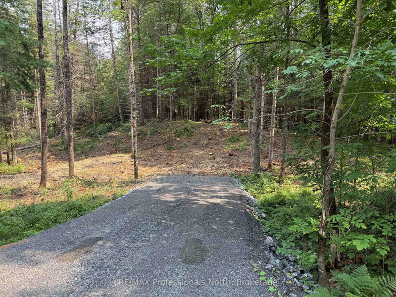 1313 Williamsport Road N