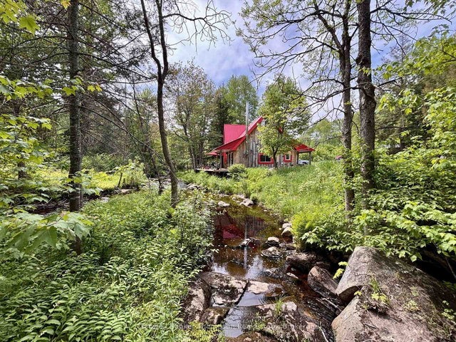 63 Forestry Road