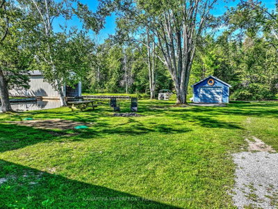 3 Sackitt Road • Kawartha Lakes, ON photo 6