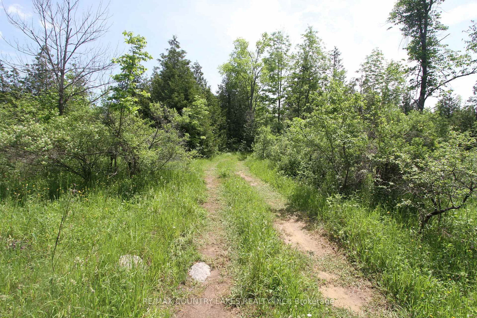 Lt25 Ramblewood Trail • Kawartha Lakes, ON photo 10