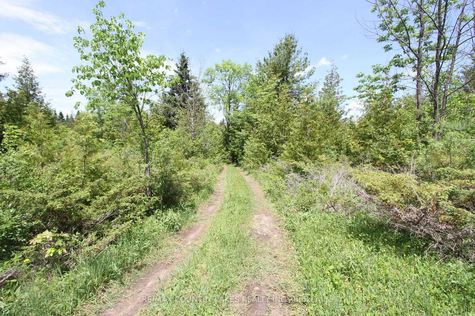 Lt25 Ramblewood Trail • Kawartha Lakes, ON photo 12