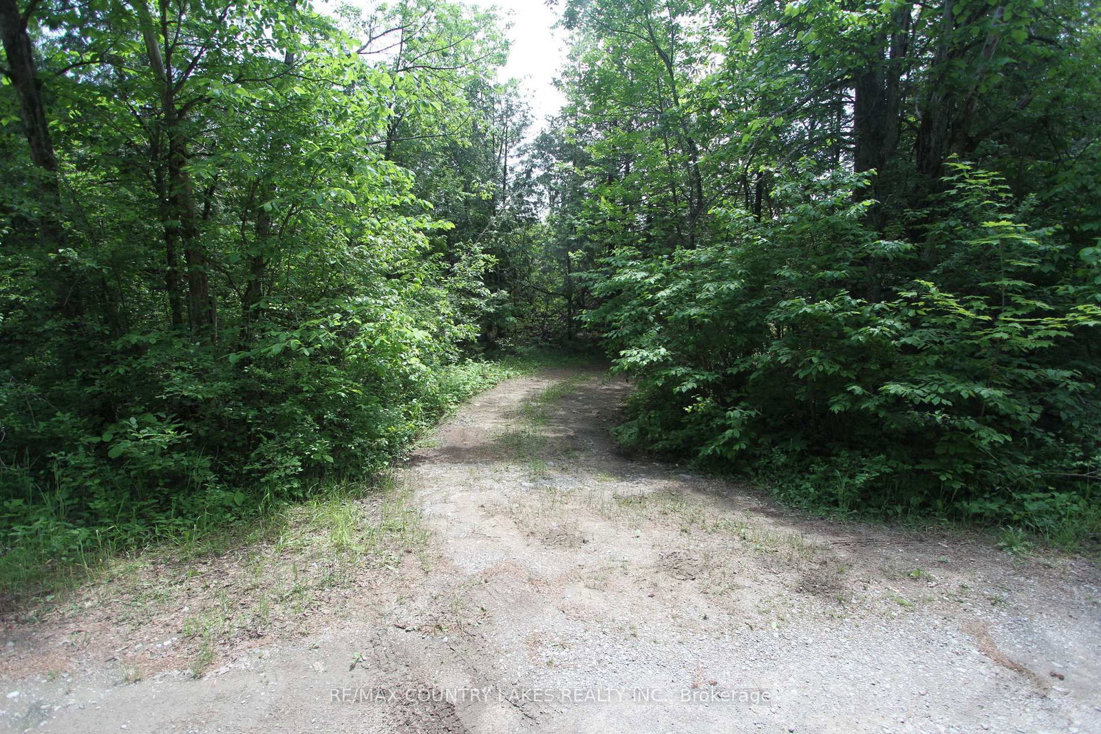 Lt25 Ramblewood Trail • Kawartha Lakes, ON photo 24