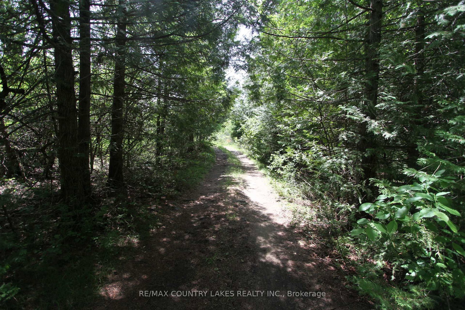 Lt25 Ramblewood Trail • Kawartha Lakes, ON photo 25