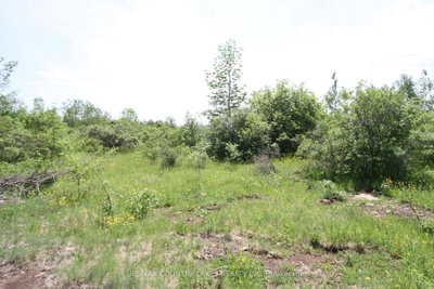 Lt25 Ramblewood Trail • Kawartha Lakes, ON photo 8