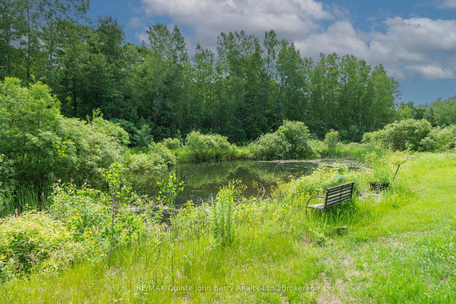 342 Christiani Road • Brighton, ON photo 39