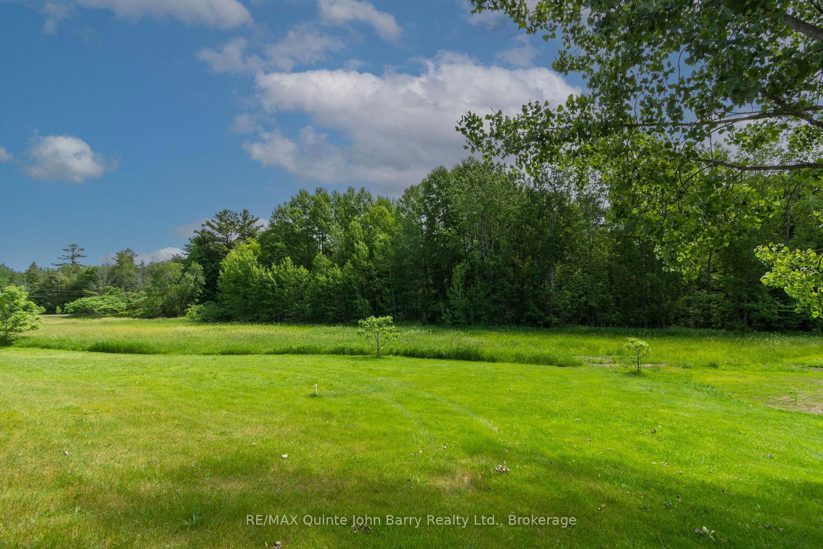 342 Christiani Road • Brighton, ON photo 42
