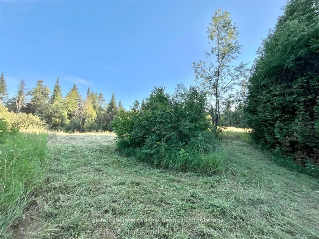 213 Vansickle Road
