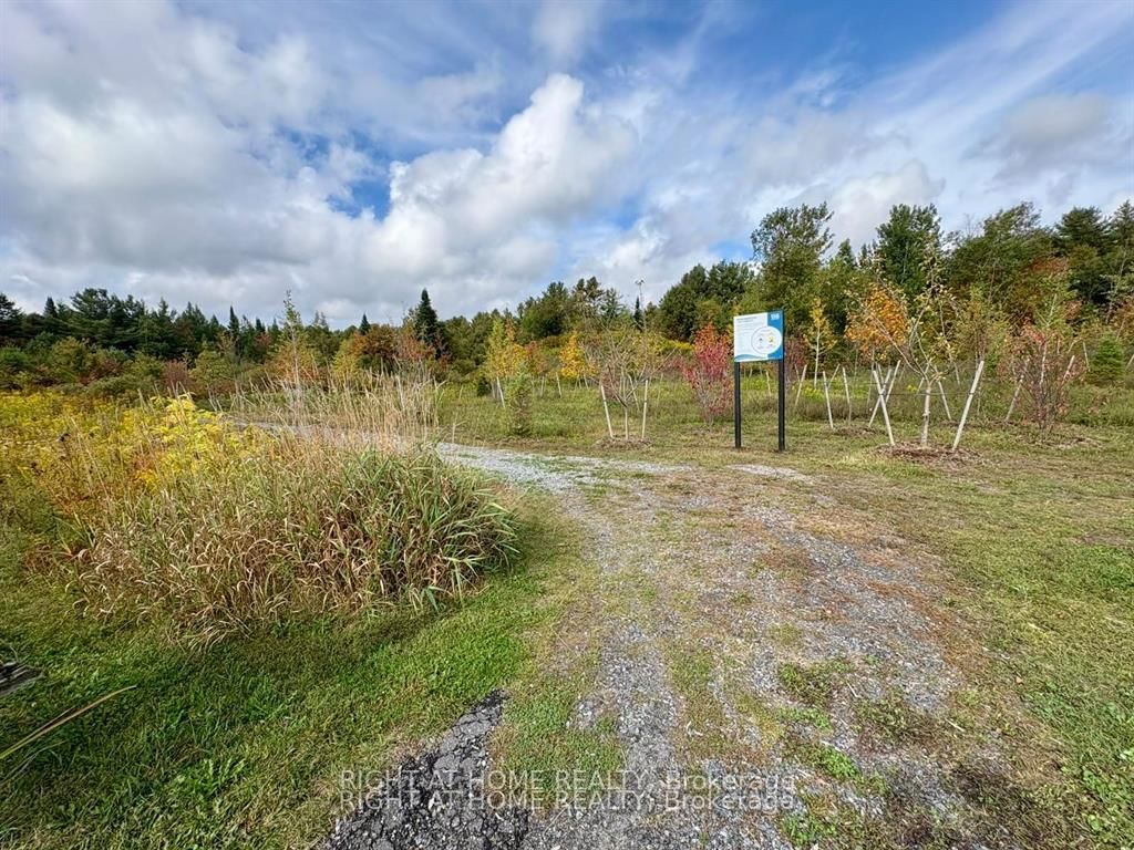 68 Little Ryans Way • Bracebridge, ON photo 30