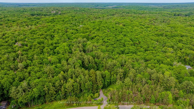 2682 Muskoka District 118 Road W