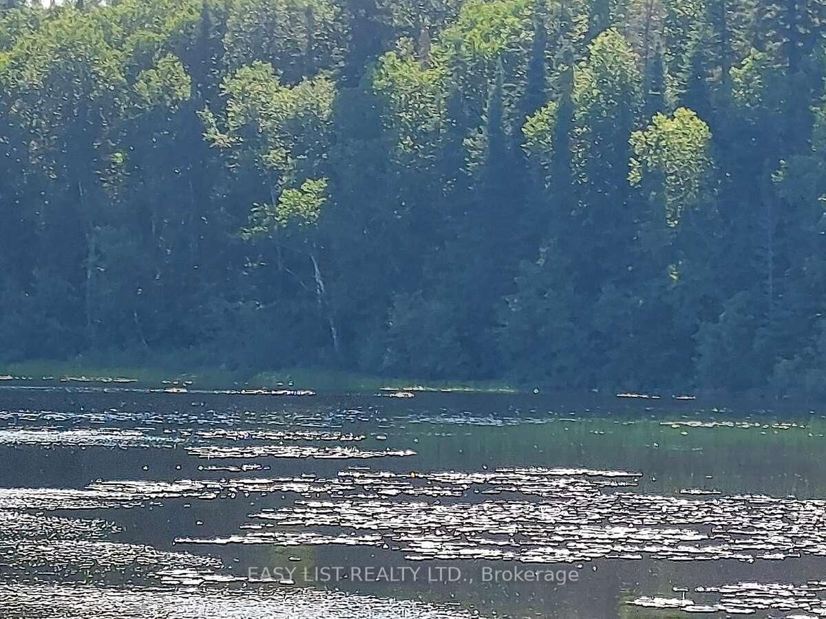 Lot 11 Catfish Lake Road • Wawa, ON photo 6