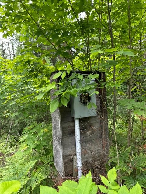 1164 Ravine Road
