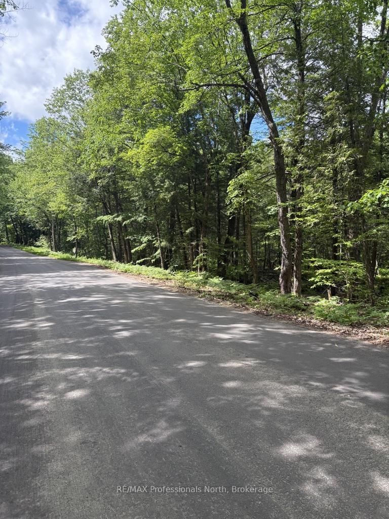 TBD Wigamog Road
